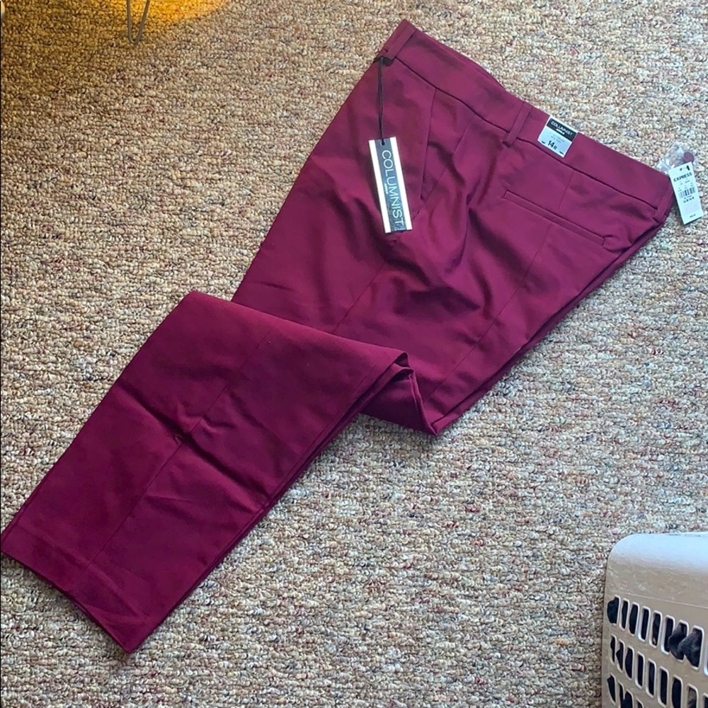 Express Columnist Ankle Pants